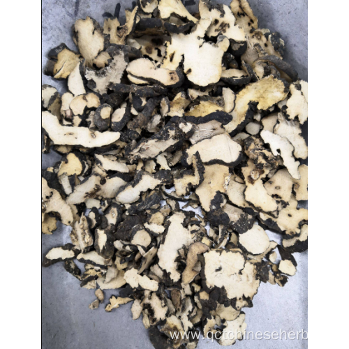 Top Quality Herb Medicine Polyporus